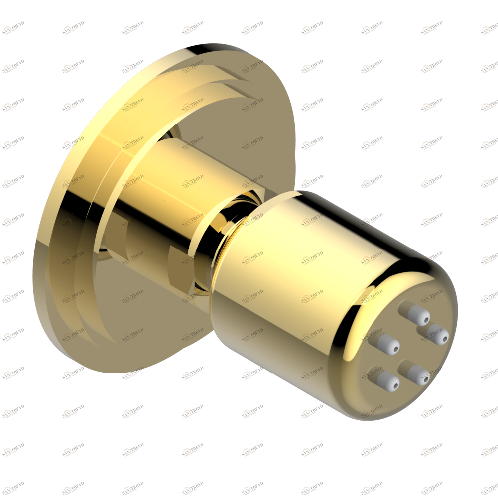 G2L-290/B Форсунка гидромассажная встраиваемая в стену 1/2" с защитой от жёсткой воды Thg-paris Faubourg - чёрный фарфор Покрытие PVD золотистый цвет G2L 290/B CAT.F