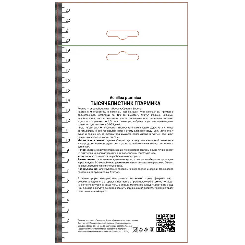 Тысячелистник птармика Ноблесса ПОИСК STLM-2021222 - Вид №1
