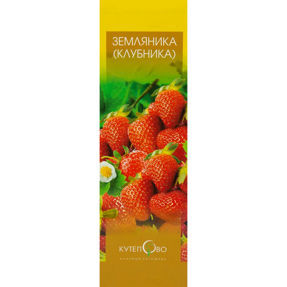 Земляника Елизавета 2 9x30 см 3 шт. 83539279 STLM-2116245 Santreyd  - Вид №1