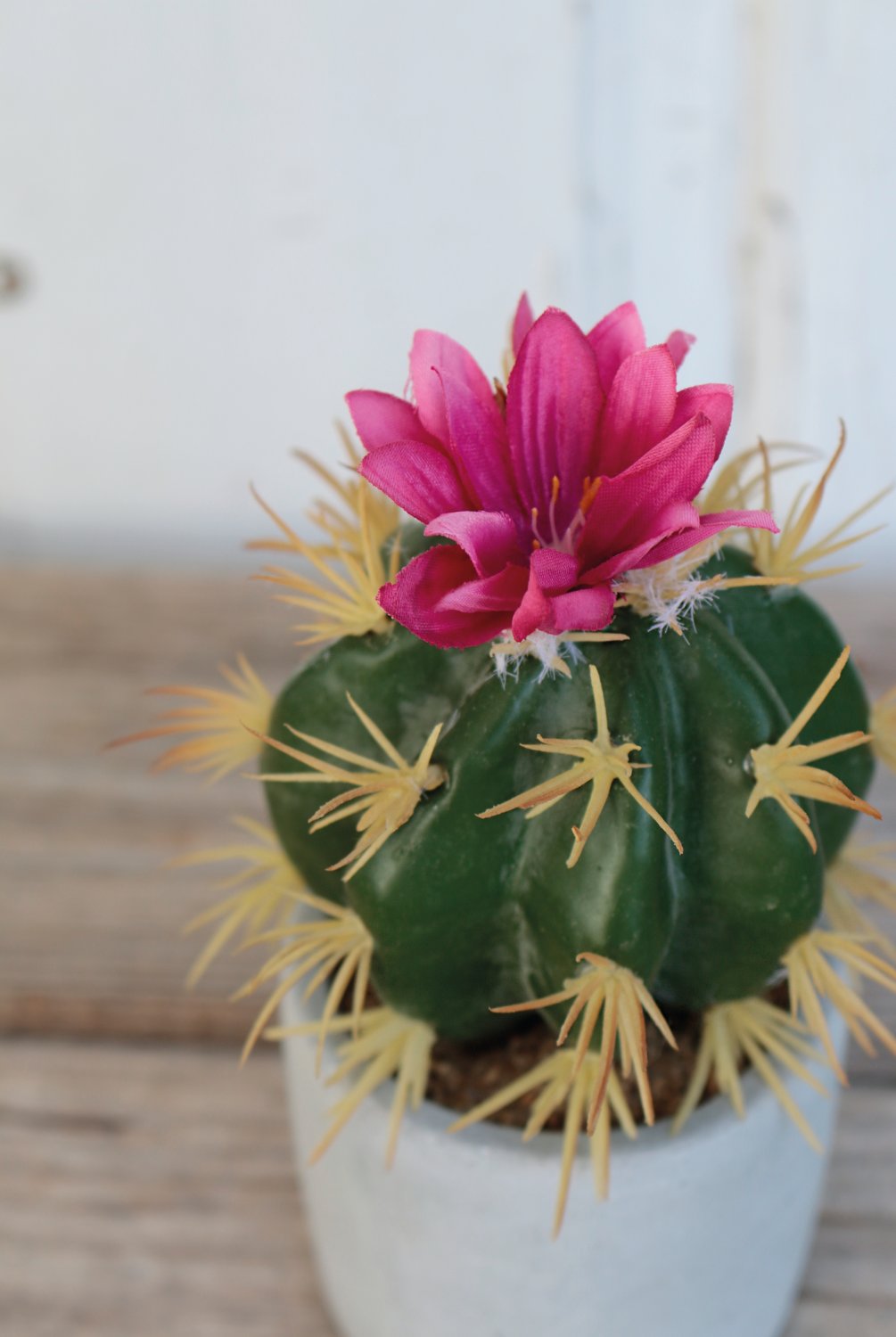 6068 883 a3 Пластиковые суккуленты-микс, в горшках, 3 шт., 10/14/17 см, зеленые H-andreas  - Вид №4