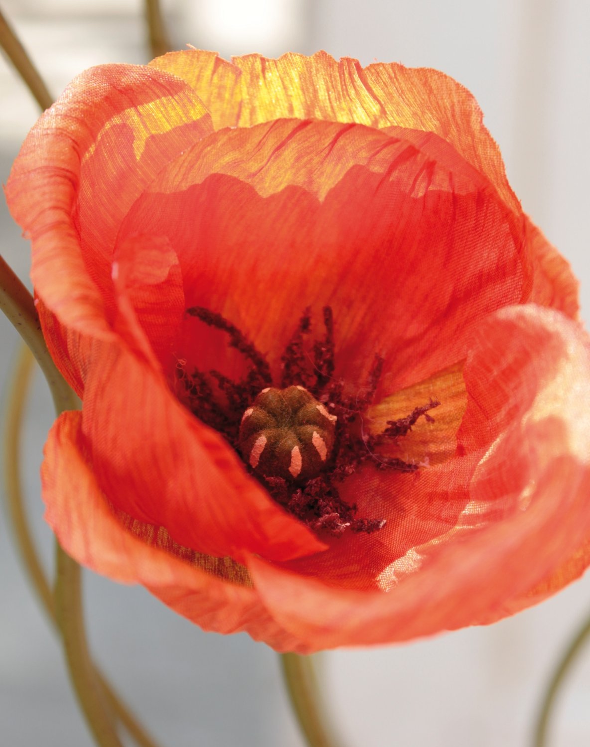 4562 334 a3 Пластиковые маки, 2 цветка, 1 бутон, 75 см, оранжевые H-andreas  - Вид №5