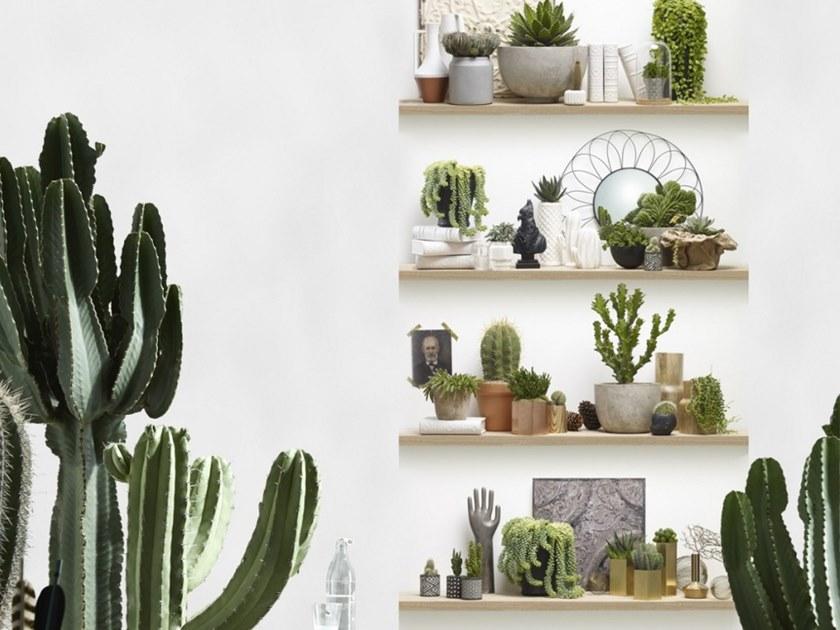 Koziel Однополосные обои sun-id-1496788 - Вид №1