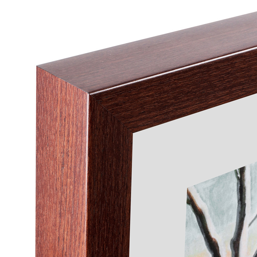 Литография на тонированной бумаге 42х52 см A hand-painted illustration of an Arakan forest turtle, 1 КАРТИНЫ В КВАРТИРУ  135777 Белый;коричневый;черный;разноцветный  - Вид №4