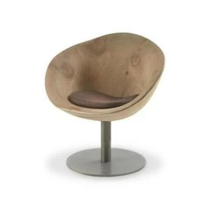 Кресло / Collybia