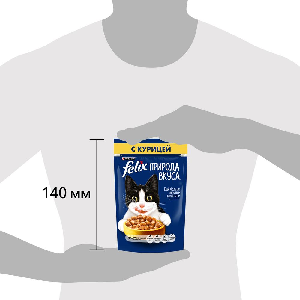 ПР0049076 Корм для кошек Природа вкуса с курицей в соусе, пауч 85 г FELIX  - Вид №9