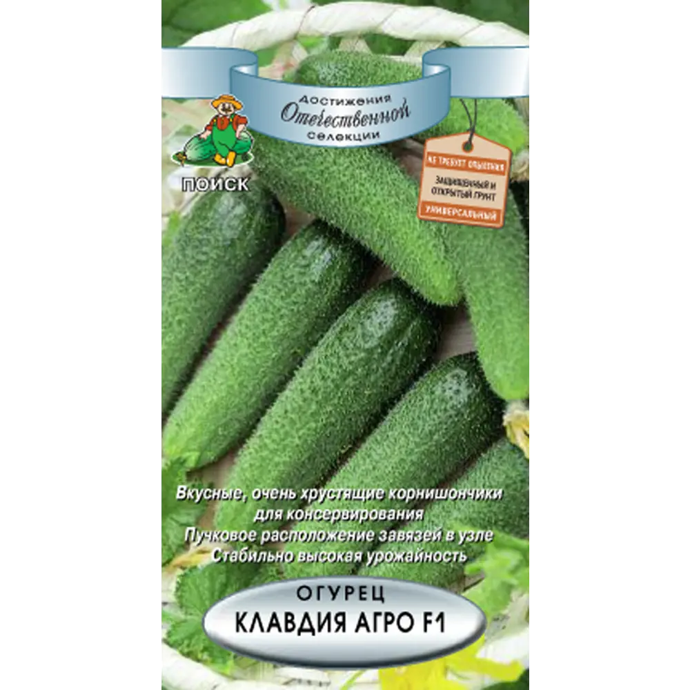 Семена огурца ПОИСК «Клавдия» F1 — партенокарпический гибрид для открытого и закрытого грунта 82102364 STLM-0018966