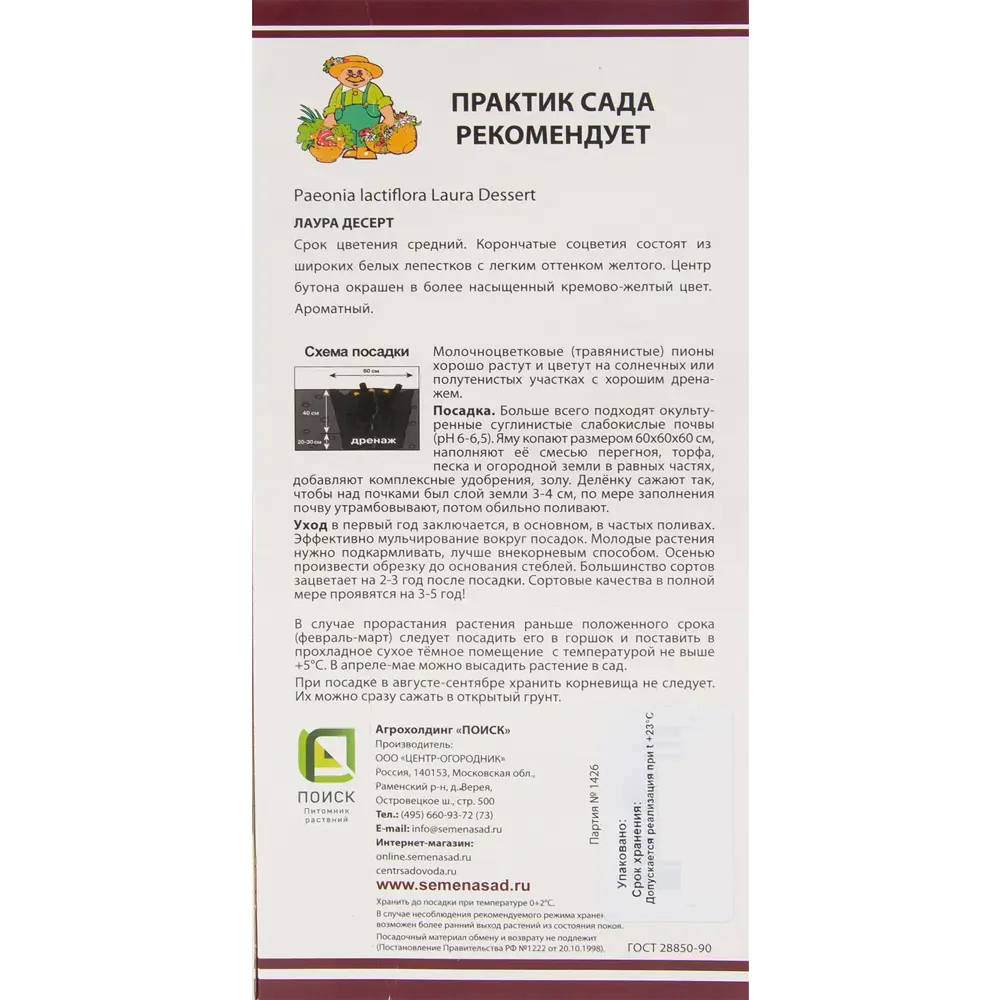 Пион молочноцветковый «Лаура Десерт», размер луковицы I 82319607 STLM-2191775 Santreyd  - Вид №1