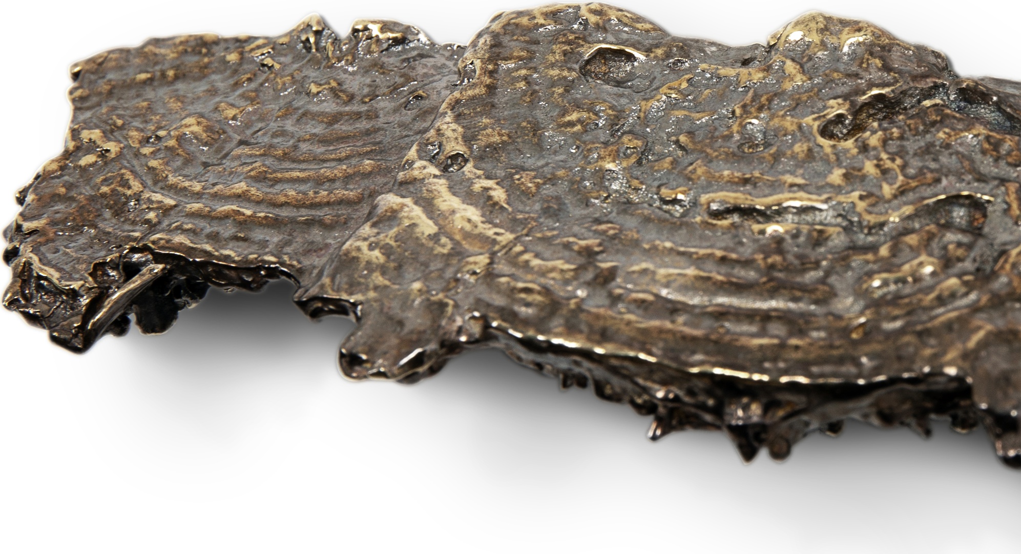 EA1033 Fungi PULLCAST Earth Collection  - Вид №3