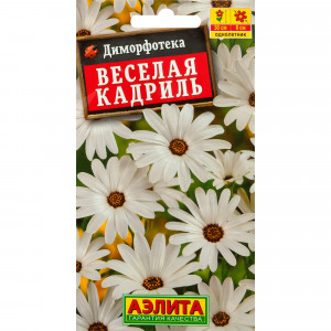 83495444 Семена Диморфотека «Веселая кадриль»