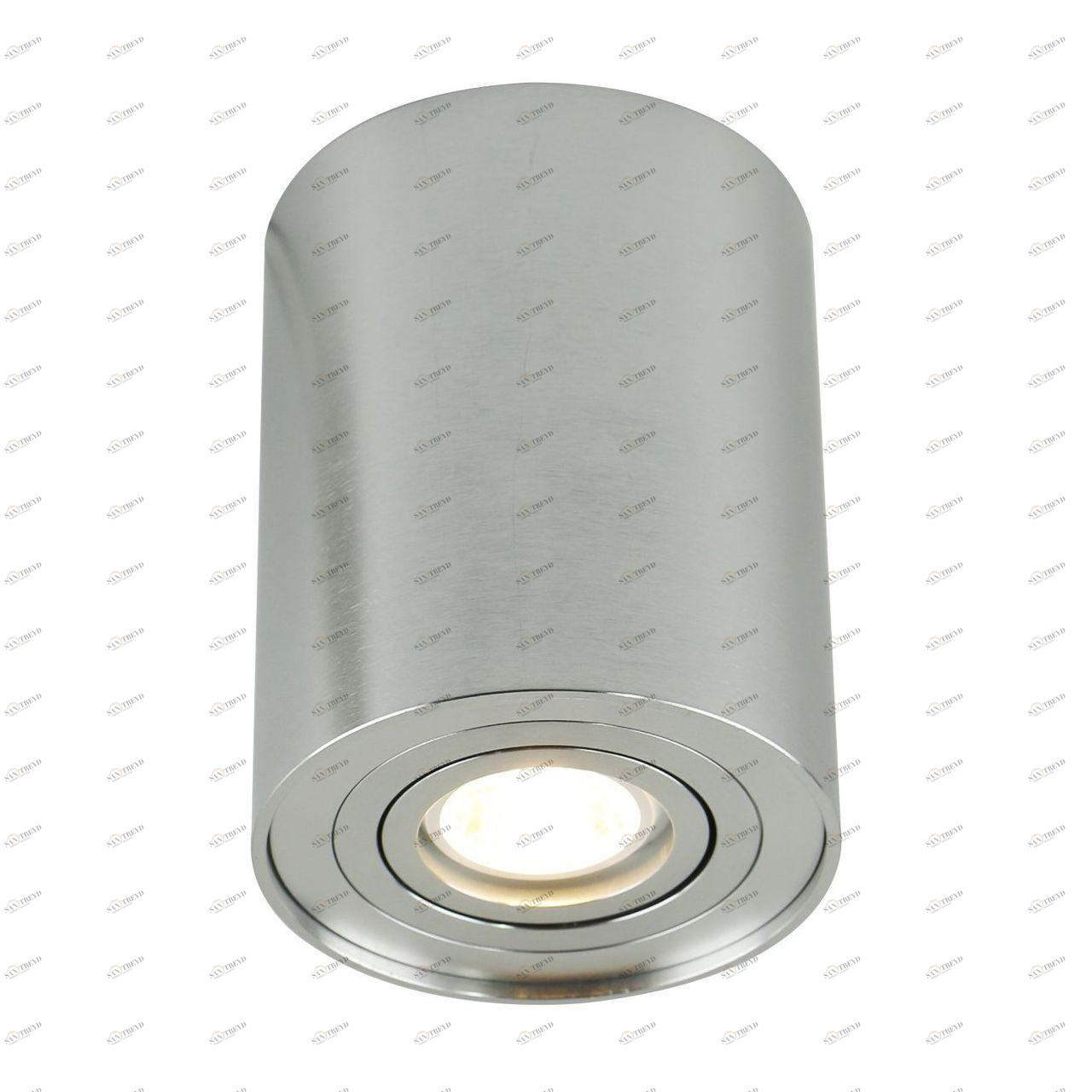 Потолочный светильник Arte Lamp A5644PL-1SI ARTE LAMP 5644 201304 Серебро 