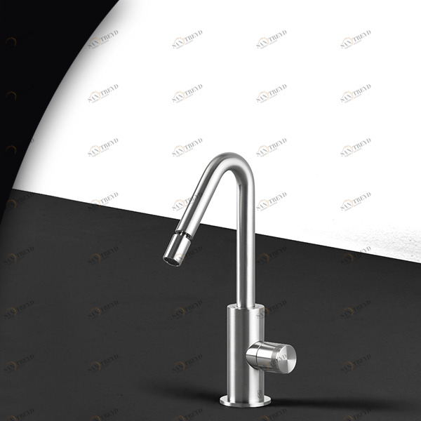 Смеситель для биде HIRO HIR16S серебристый матовый Radomonte