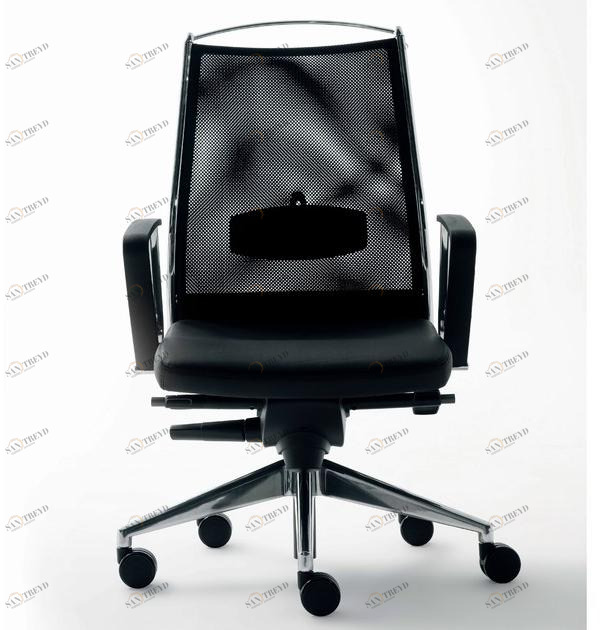 Ares Line Стул для руководителя с регулируемой высотой Link family sun-id-1493721