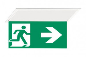 DST-199 Hydra pennant Daisalux Светильники аварийные Белый