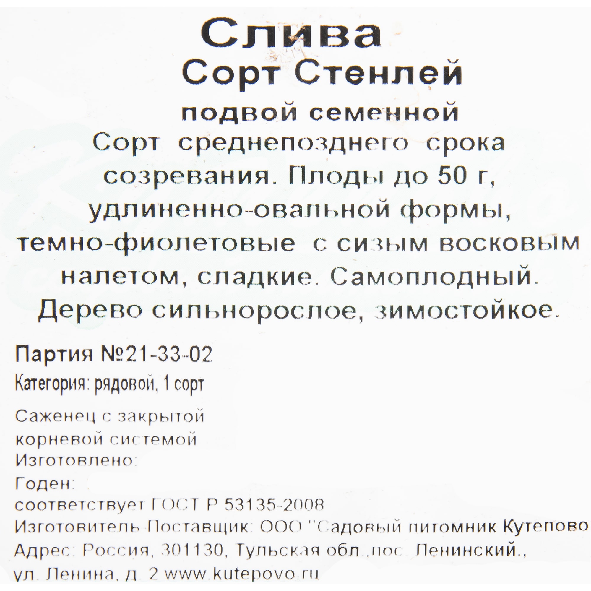 82597134 Слива «Стенлей» C4 высота 140 см Santreyd  - Вид №1