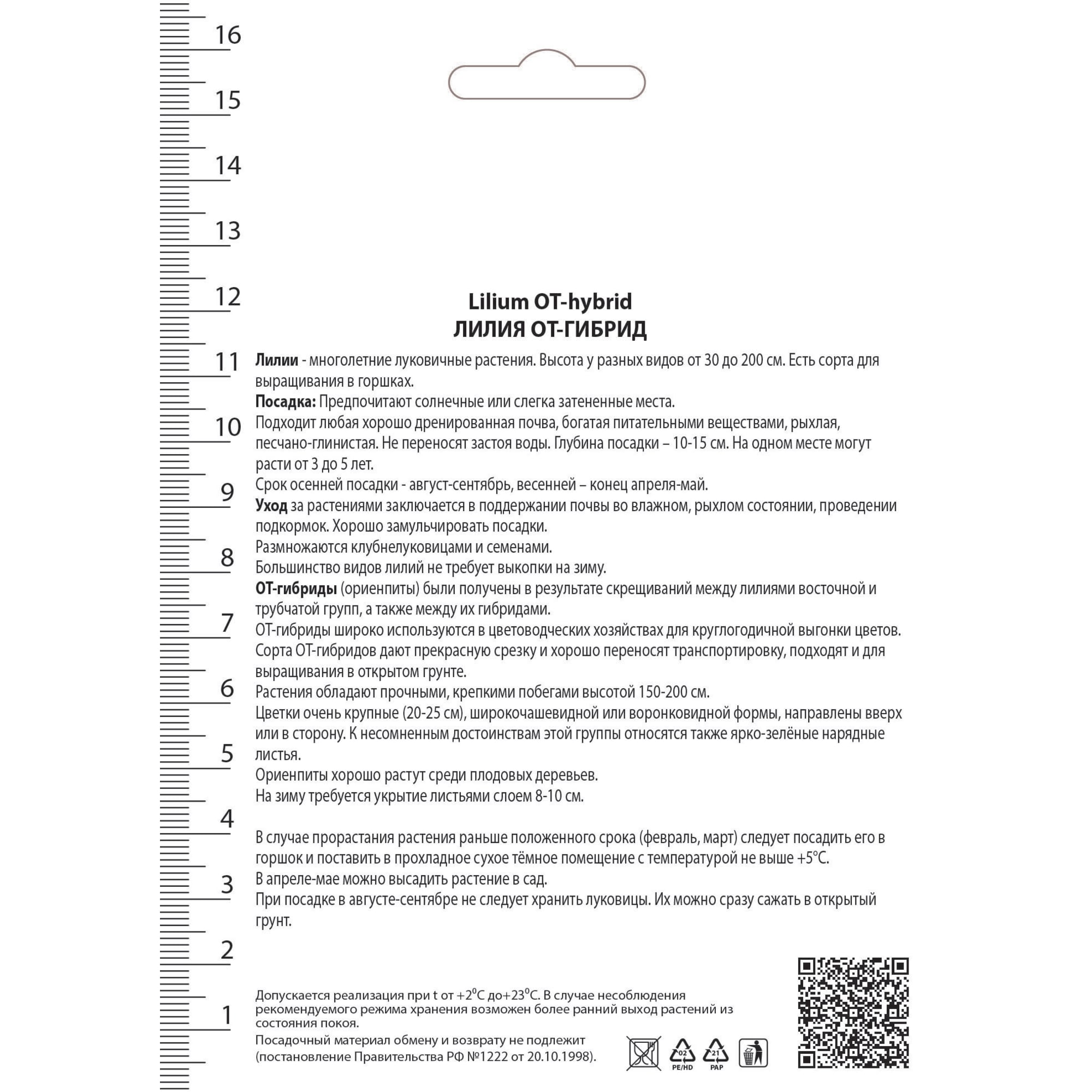 82530243 Лилии ОТ-Гибриды Беверли Дримс Santreyd  - Вид №1