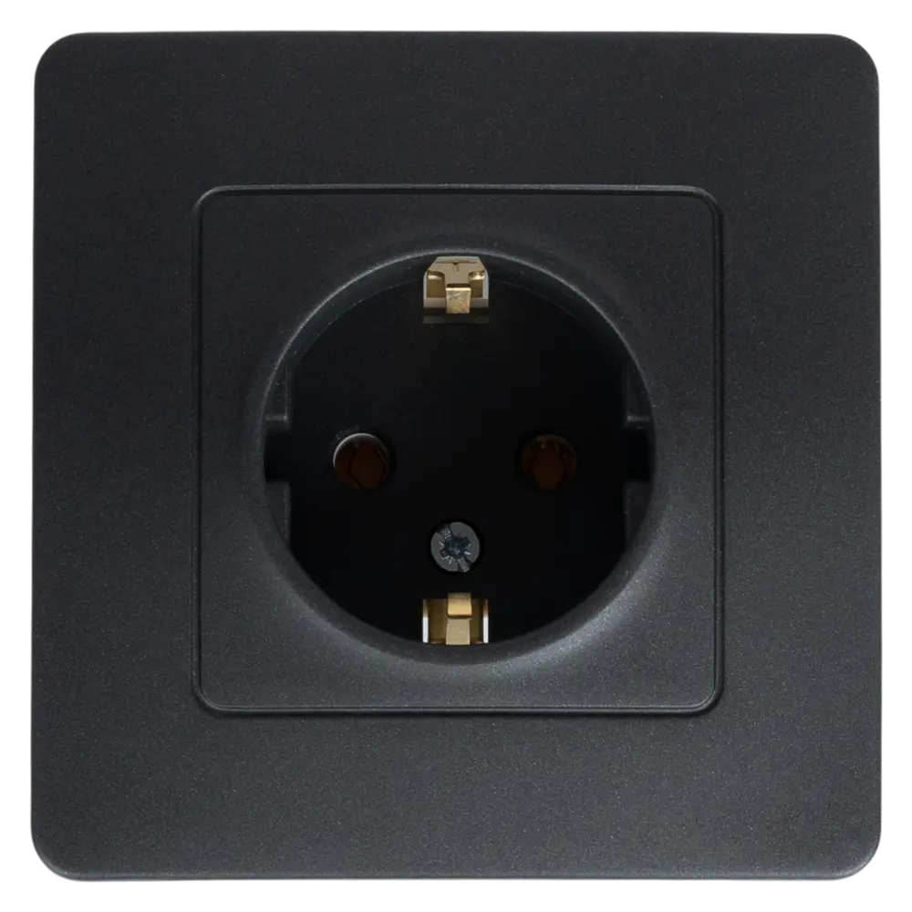 Розетка встраиваемая Systeme Electric Blanca с заземлением цвет антрацит 86728843 STLM-2061628