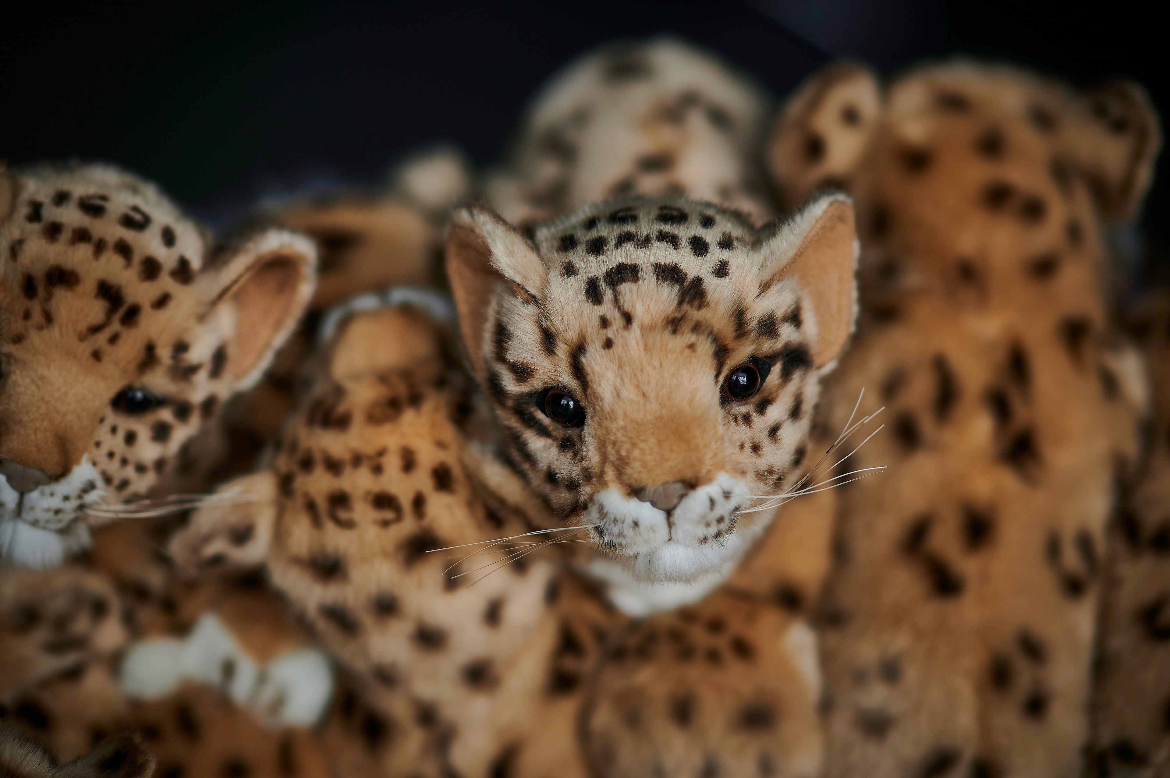 Полиэфирное кресло APCOLLECTION Leo ARCH-00065214 - Вид №12