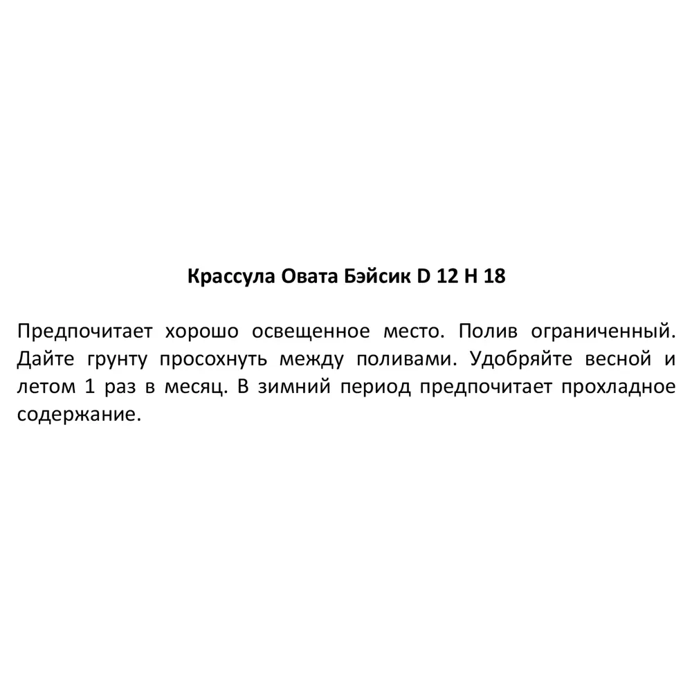 Santreyd Крассула Овата Бэйсик — элегантный суккулент для вашего интерьера 87890505 STLM-0076014 - Вид №3