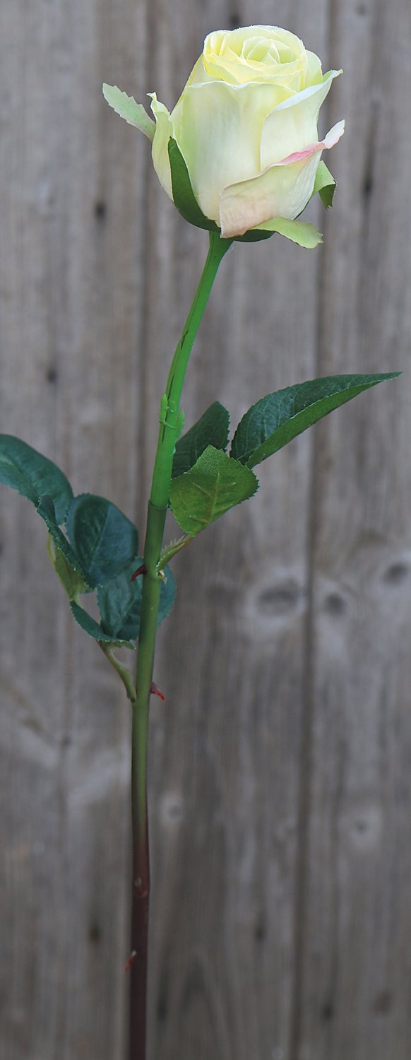 3350 788 a2 Искусственная роза, 58 см, бежево-зеленая H-andreas 