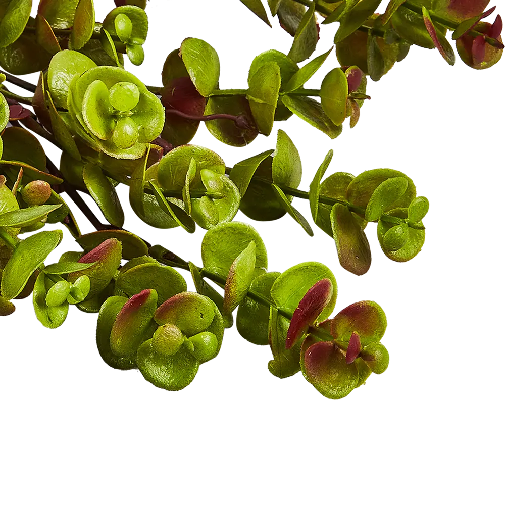 88455016 Искусственное растение Holiday 35x20 см пластик цвет зеленый STLM-0811581 Santreyd  - Вид №1