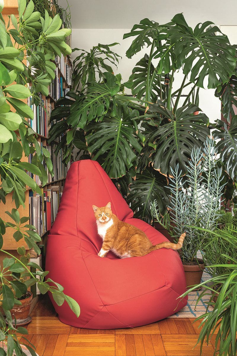 Кресло-мешок In Stock ZANOTTA - SACCO VIP 27527 ARCH-00143017 - Вид №4