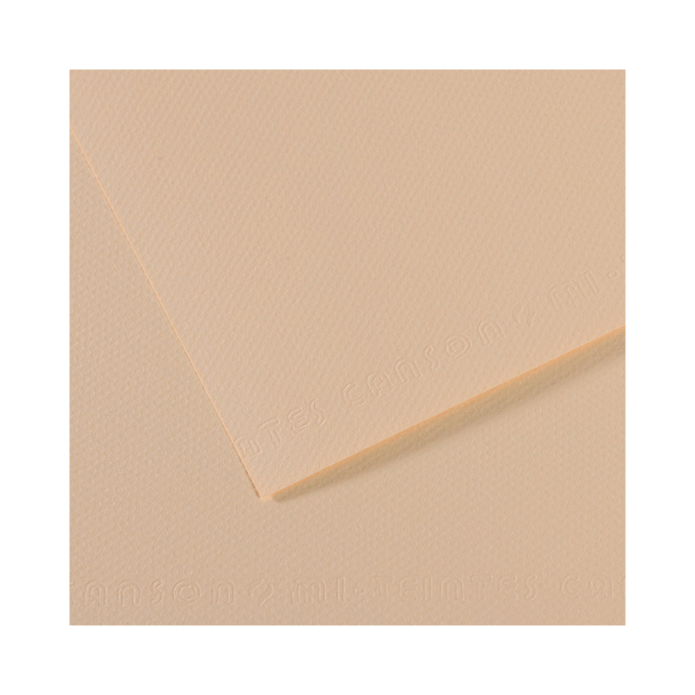 200321344 Бумага для пастели Mi-Teintes 160 г/м2 50 х 65 см лист №112 скорлупа Canson 