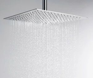 A118 Верхняя душевая насадка WasserKRAFT