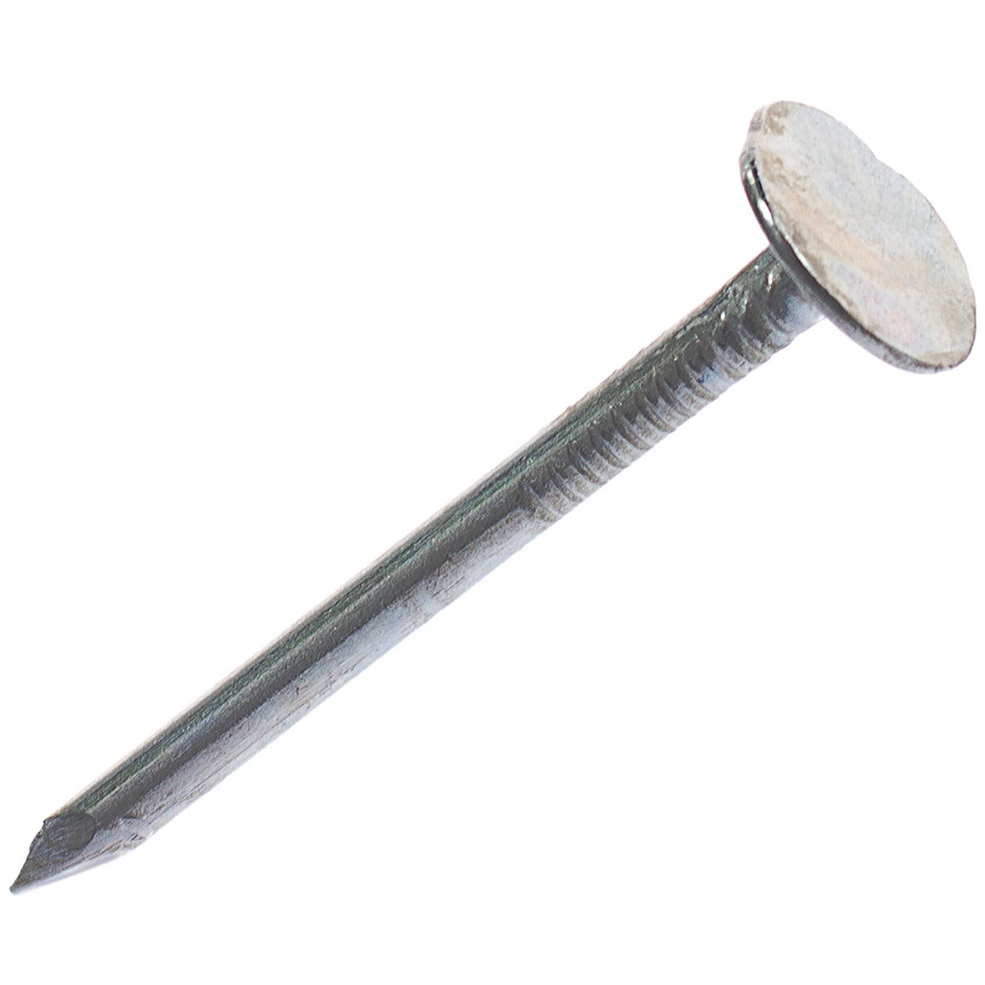 10060402 Гвозди толевые евро 2.8х40 мм, 0.2 кг Santreyd 