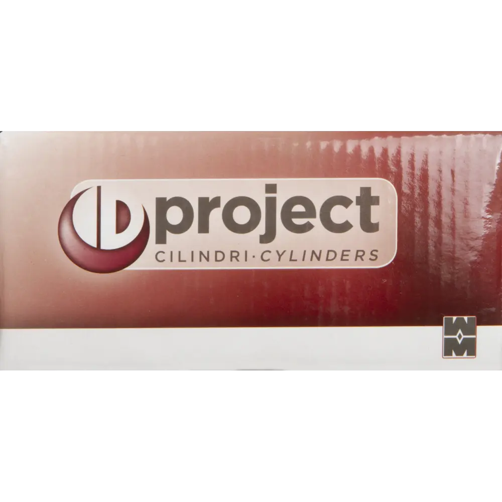 Цилиндр Mottura Project DPC1P4631 S3, 41x10x26 мм, ключ/шток, цвет никель, без вертушки STLM-2100773 - Вид №3