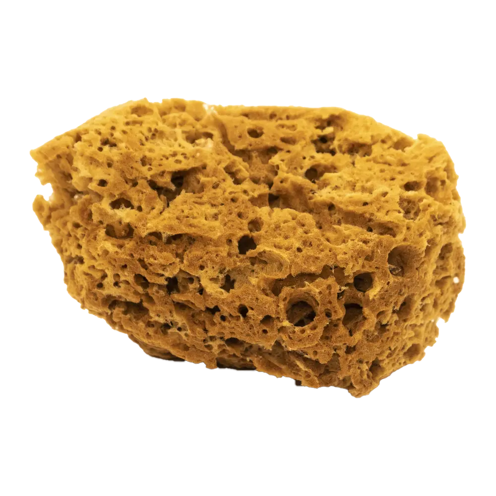 Натуральная морская губка Pentrilo для декоративной отделки 11387551 STLM-0001209