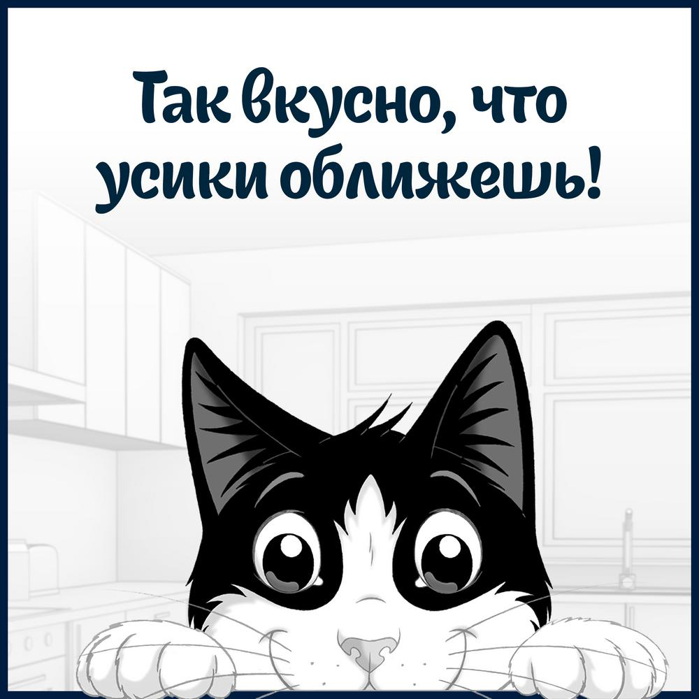 ПР0013786 Корм для кошек Аппетитные кусочки с курицей и томатами в желе, пауч 85 г FELIX  - Вид №8