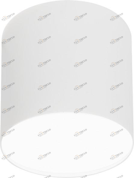 Потолочный светильник Nowodvorski Point Plexi 6525 NOWODVORSKI POINT PLEXI WHITE 201913 Белый 