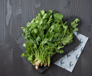 8423 Кинза Вкусляндия