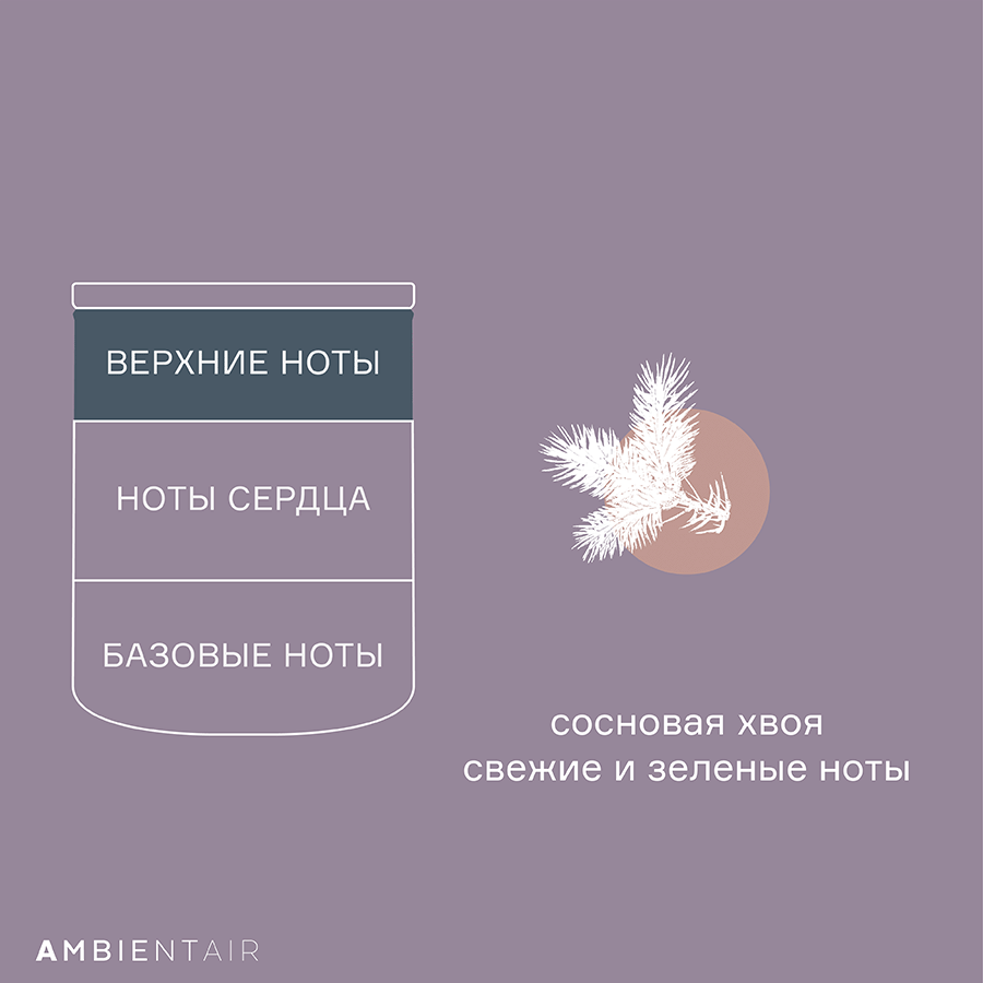 VV040WJEF Свеча ароматическая enchanted forest, Белый жасмин, 40 ч Ambientair  - Вид №6