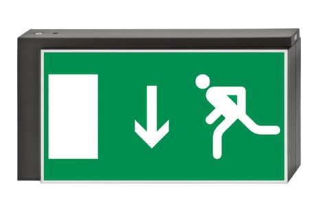 DST-835 Lisu pennant Daisalux Светильники аварийные Металлический Серый 