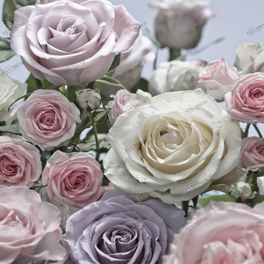 8-736-Floraison Фотообои Komar Imagine Edition 2 254х368 м 8736FLORAISON