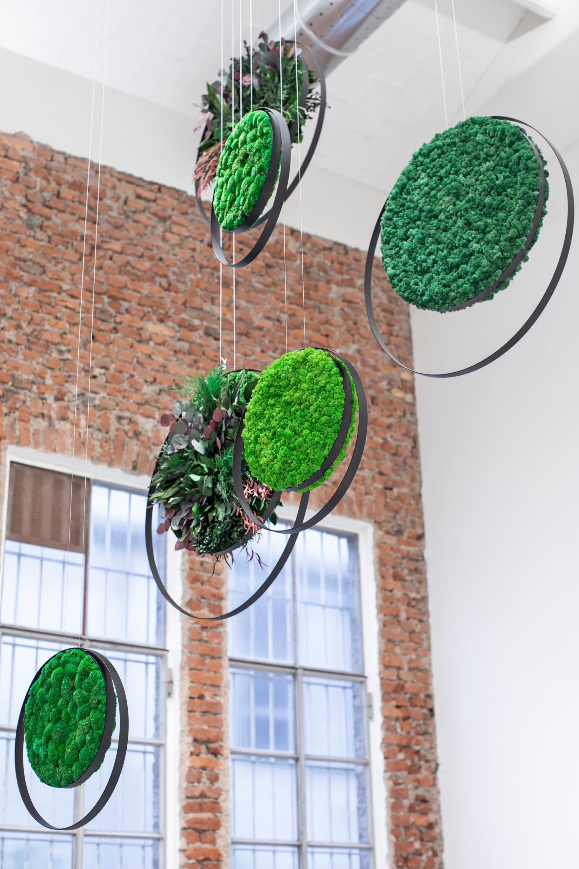 Подвесная акустическая панель GREENMOOD RINGS ARCH-00006794 - Вид №6