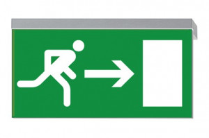 DST-3611 Ikus 320-p Daisalux Светильники и спец. Серебристо-Серый