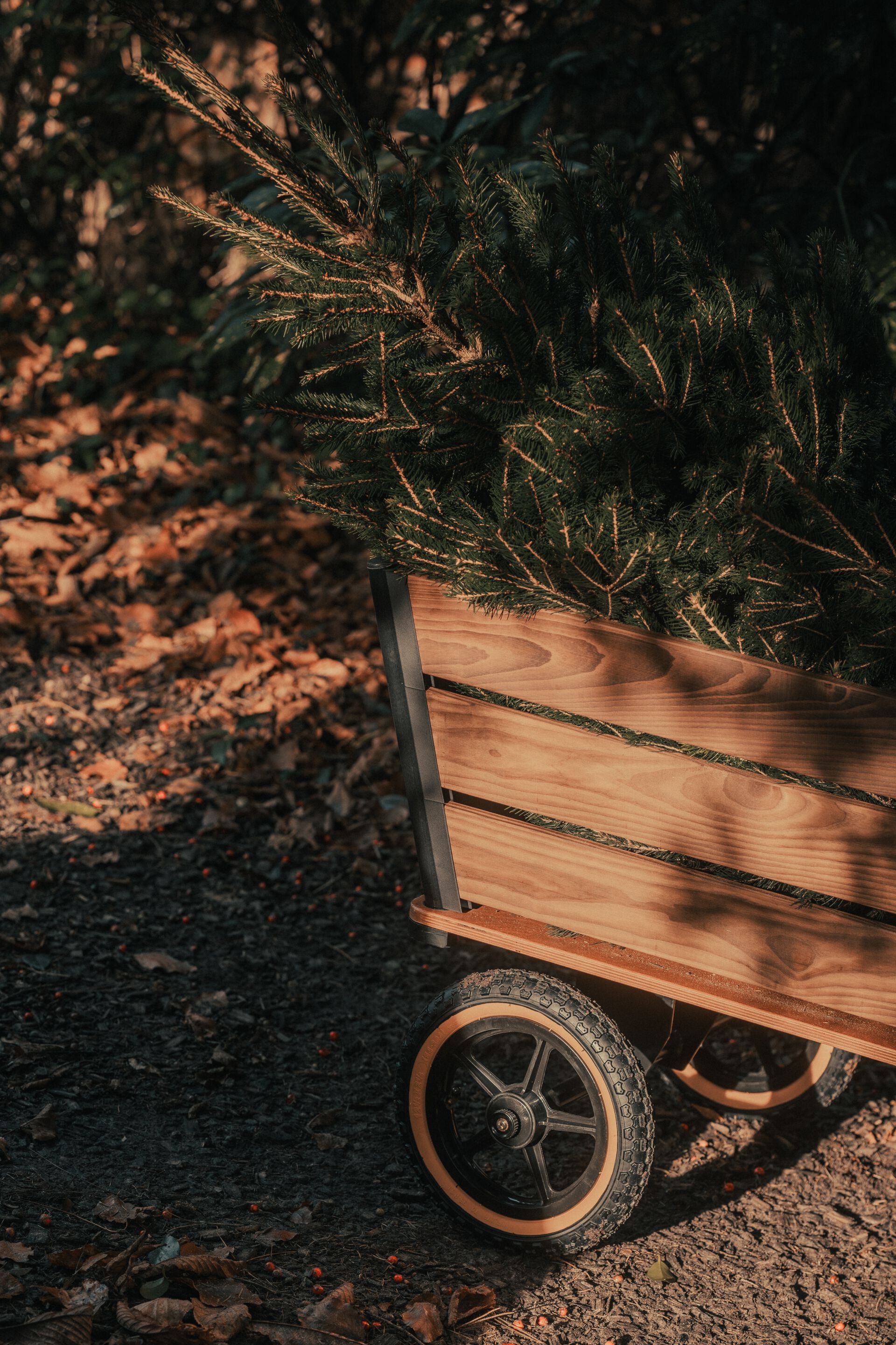 Садовая тележка TRADEWINDS THE PLANK WAGON ARCH-00043245 - Вид №6