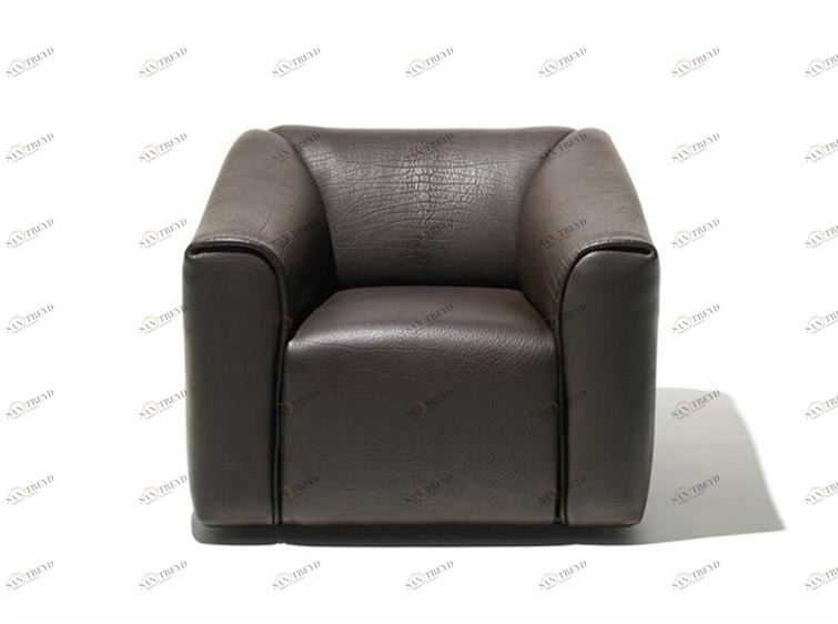 de Sede Кожаное кресло Ds-47 sun-id-1508015