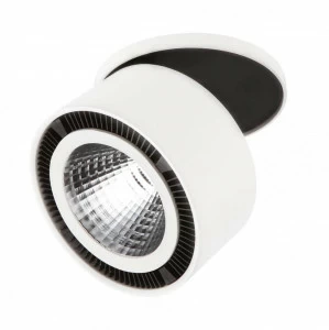 Встраиваемый спот белый 8 см Lightstar Forte Inca 214806 LIGHTSTAR FORTE INCA 00-3923659 Белый