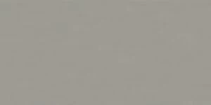 SERENA  30х60 GREY 443 POLISHED