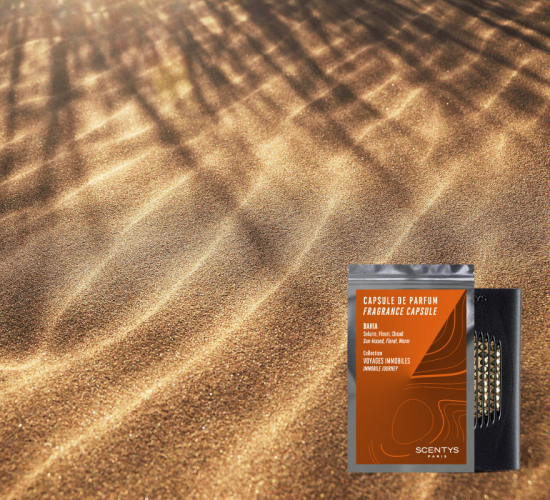 F2924 Ароматическая капсула SCENTYS Santreyd 