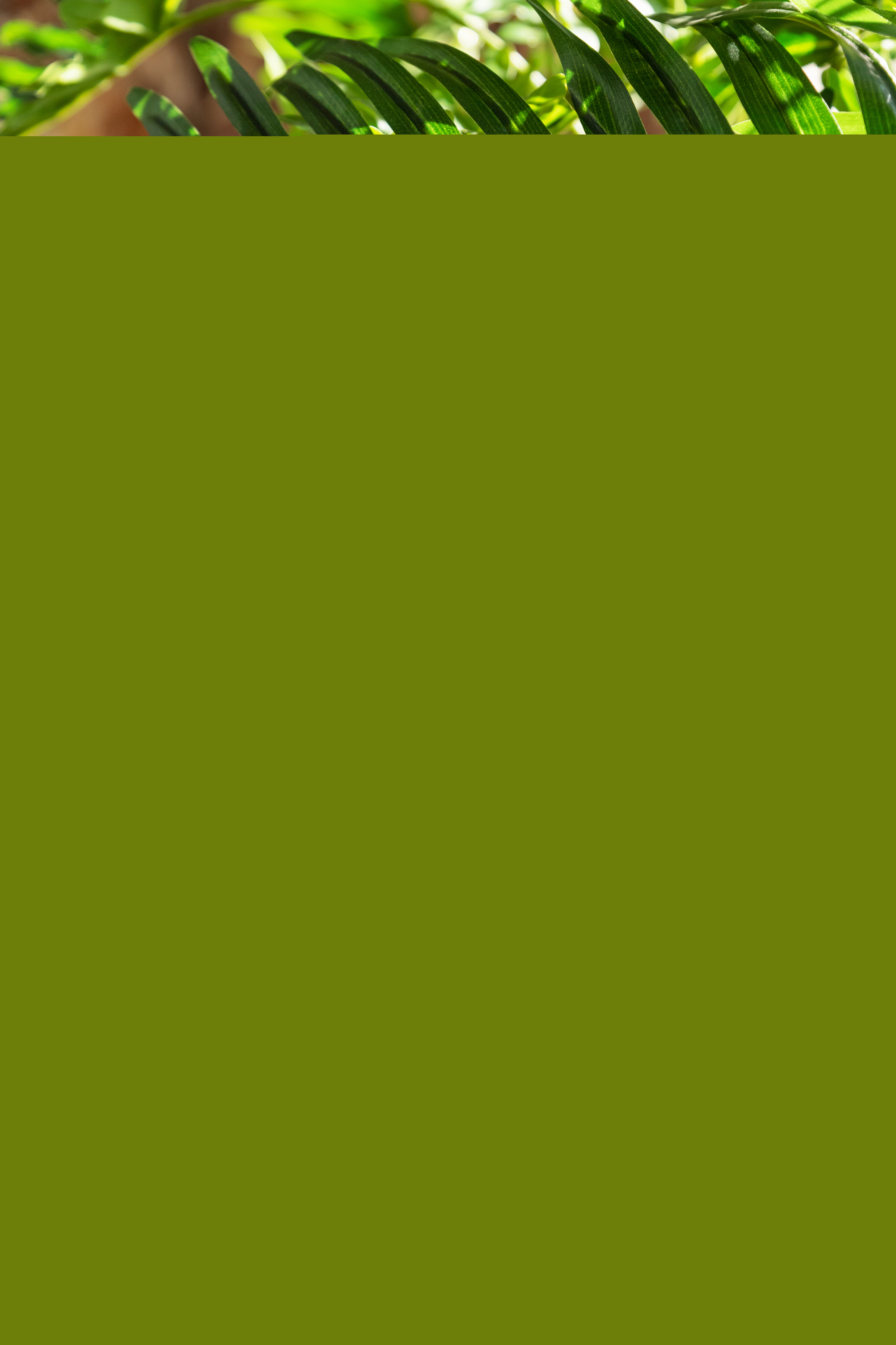 88249649 Искусственное растение в горшке прованс розовый STLM-0077033 Santreyd  - Вид №3