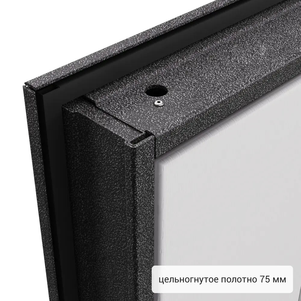 Дверь входная металлическая Фолд 950 мм левая Скай 83404323 STLM-2124587 TOREX  - Вид №12