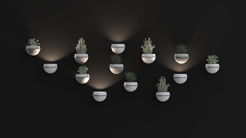 BLOSS Настенная ваза из металла Globe sun-id-1473123 - Вид №8