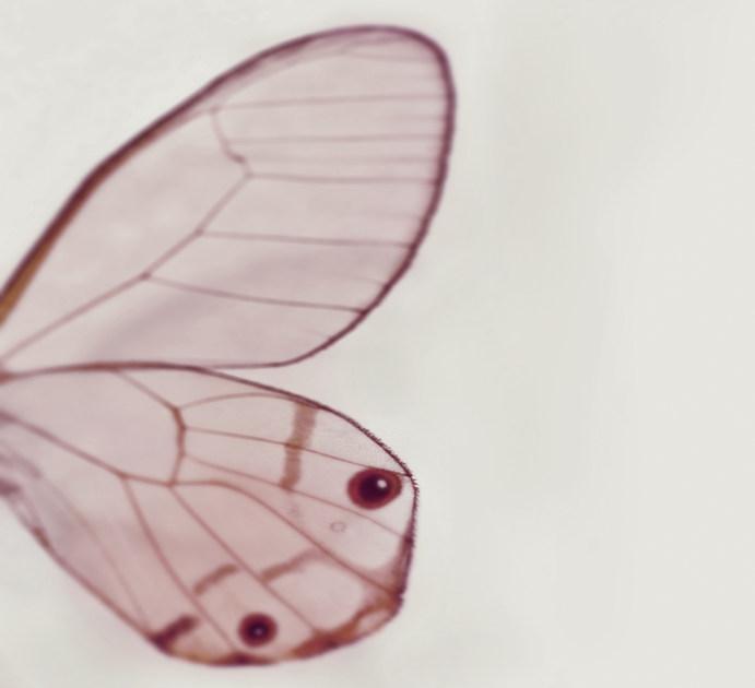 Wall&decò Обои на стену Contemporary wallpaper 2013 sun-id-1347667 - Вид №2