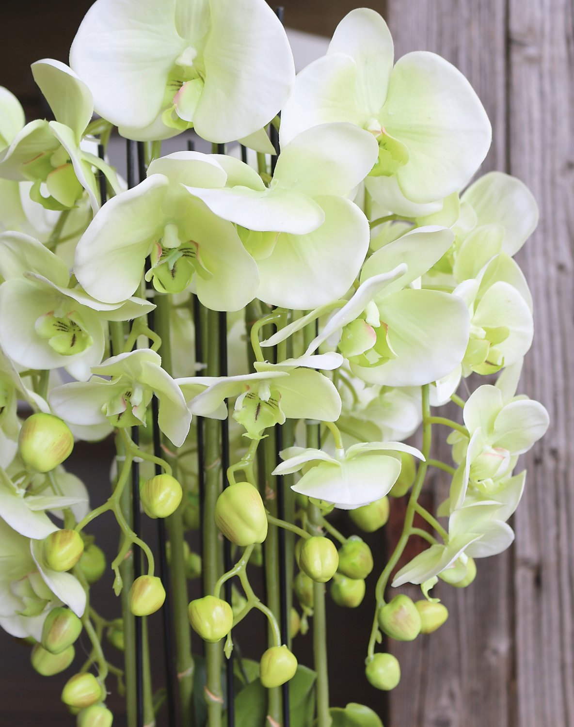 2861 788 a3 Пластиковая орхидея Phalaenopsis с 'почвой', 9-кратная, 70 см, real touch, бежево-зеленая H-andreas  - Вид №9