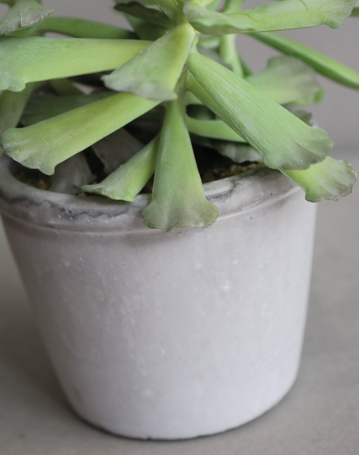 6101 883 a3 Искусственный суккулент, горшок, 18 см, зеленый H-andreas  - Вид №1