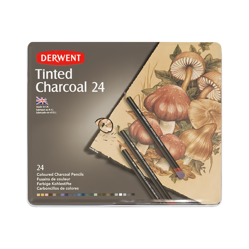 2301691 Набор угольных карандашей 24 цв тонирование Derwent 